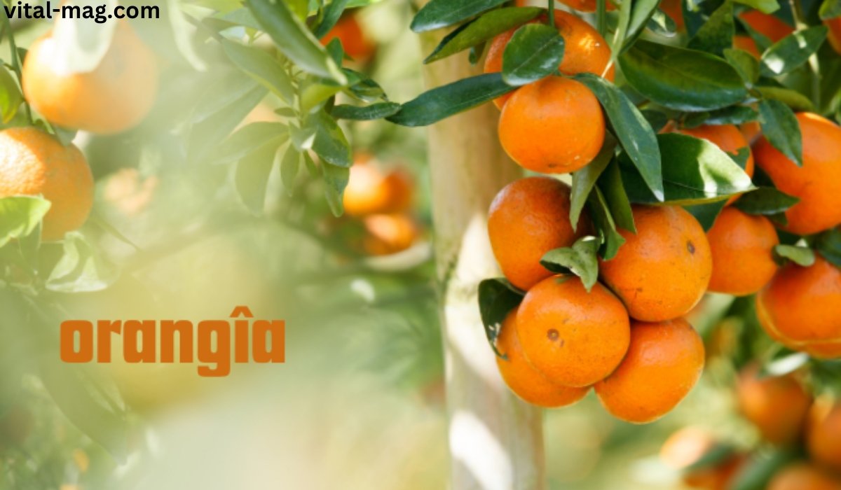 orangîa