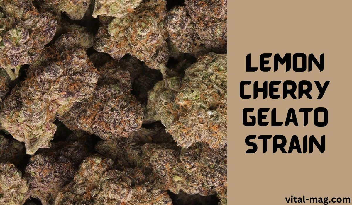 lemon cherry gelato strain