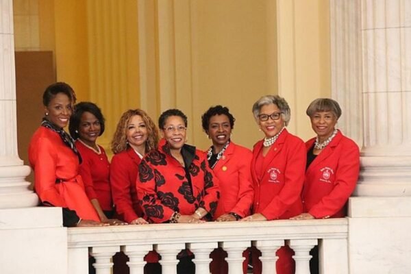 delta sigma theta we care event 2023 broweard