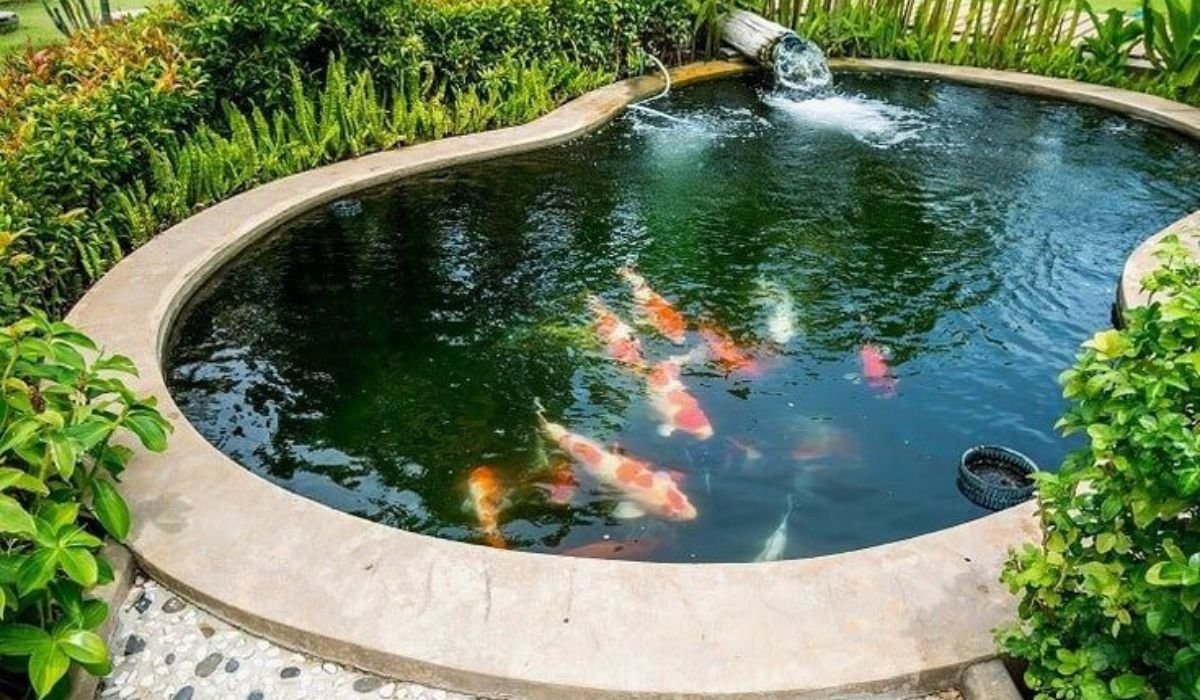 building a polyurea koi pond